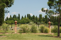 Olio Verona - Tenimenti De Ambroxiis - Valpolicella